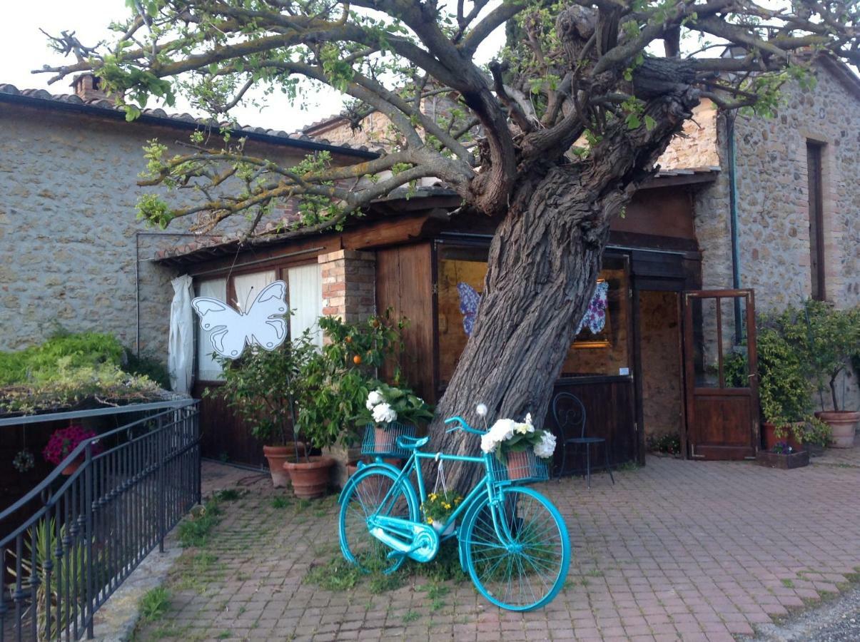 Podere Botruccio Bellaria Pomarance Exterior foto
